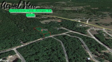0 Sunnybrook Ln unit Avinger TX 75630, Avinger, TX 75630 - photo 7