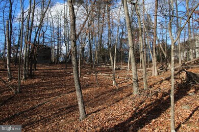 0 Supinlick Ridge Rd unit VASH2013102, Mount Jackson, VA 22842 - photo 5