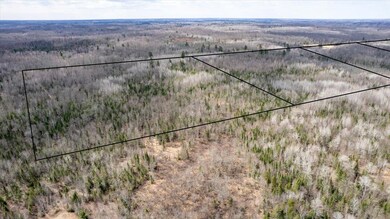 5600 Otto Rd, Oakland, WI 54874 - photo 6