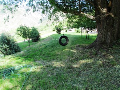 Side Yard
