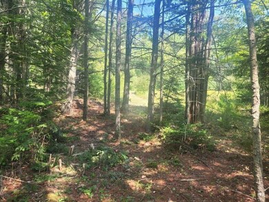0 Shady Ln, West Bath, ME 04530 - photo 4