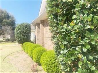 Nice landscaping.