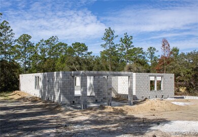 Back of home Nov. 2025