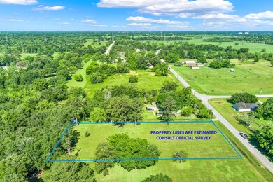 0000 County Road 154, Alvin, TX 77511 - photo 4