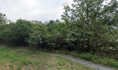 0 Mitchell Ave, Mims, FL 32754 - photo 2