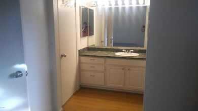 Master Bath Mitchell