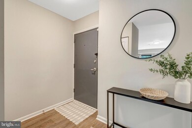 3105 Buccaneer Ct unit 201, Fairfax, VA 22031 - photo 3