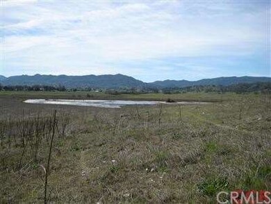 Seasonal pond at the back part of property.
