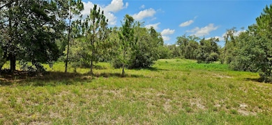 0 Mammoth Grove Rd unit MFRP4935027, Lake Wales, FL 33898 - photo 2