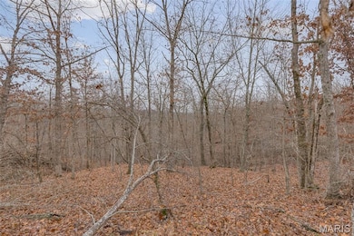 0 Private Lane 405 unit MIS25073319, Salem, MO 65560 - photo 4