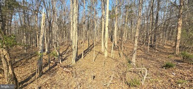 0 Hudson Hollow Rd, Stephens City, VA 22655 - photo 4