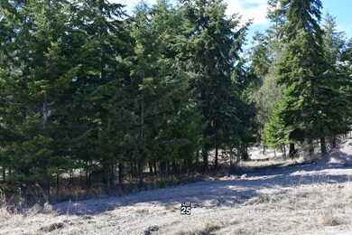 Lot 25