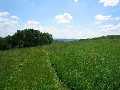 Land/Lot.