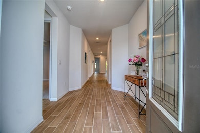 1436 Gopher Loop, Tarpon Springs, FL 34689 - photo 3