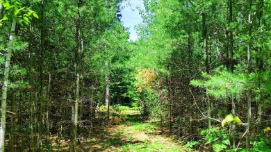 trail toward the summit