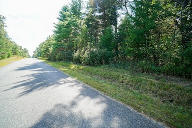 Lot 45 18th, Arkdale, WI 54613 - photo 3