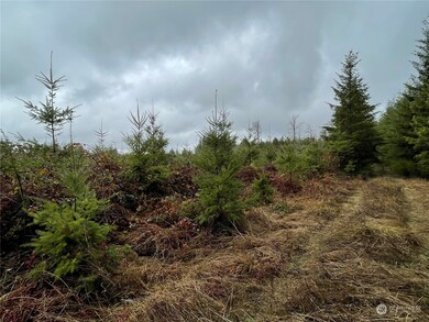 10 xx Oppelt Rd, Onalaska, WA 98570 - photo 7