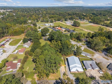 401 Longhorn Pass NW, Hartselle, AL 35640 - photo 5