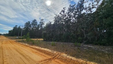 0 Schaffer St unit 25703472, Interlachen, FL 32148 - photo 3