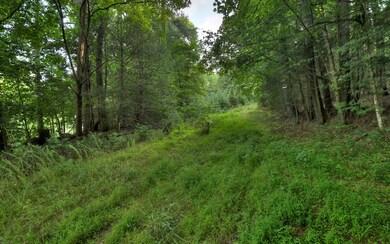 15.5A Doublehead Gap Rd, Blue Ridge, GA 30513 - photo 3