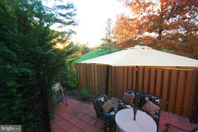 46727 Hobblebush Terrace, Sterling, VA 20164 - photo 4