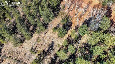 741 Pikes Peak Dr, Divide, CO 80814 - photo 6