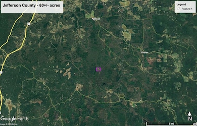 Violet Rd, Pattison, MS 39144 - photo 2