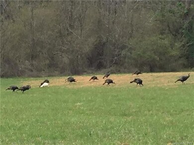 Neighbors are Pretty Quiet...