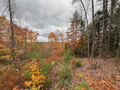 Main St - 11.43 Acres