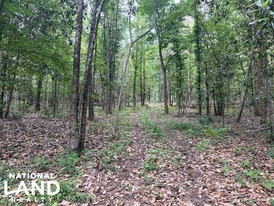0 Old Hwy 51 NE, Brookhaven, MS 39601 - photo 6