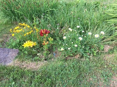 20 Birch St, West Brookfield, MA 01585 - photo 2