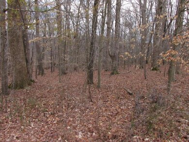 0 Country Club Dr unit 1812844, Manchester, TN 37355 - photo 3