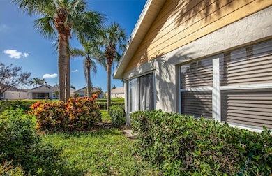 Mature Landscaping