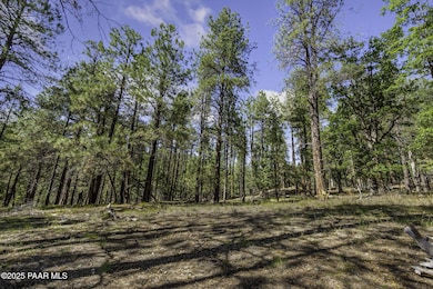 00 S Comstock Mine Rd, Prescott, AZ 86303 - photo 2