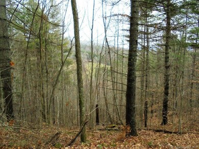 0 Hardscrabble Rd, Cane River, NC 28714 - photo 6