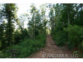 9999 N Turkey Creek Rd, Leicester, NC 28768 - photo 6