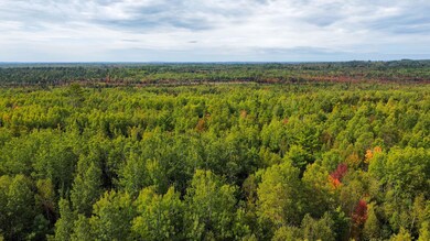 Lot 26 Wolf Run Trail, Greenbush, ME 04418 - photo 3