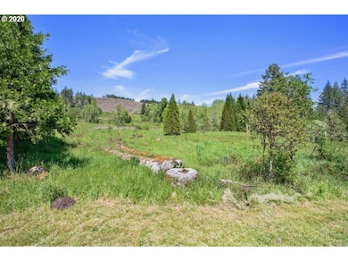 28282 SW Thomson Mill Rd, Sheridan, OR 97378 - photo 6