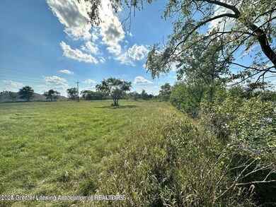 0 W Colony unit 286993, St. Johns, MI 48879 - photo 2