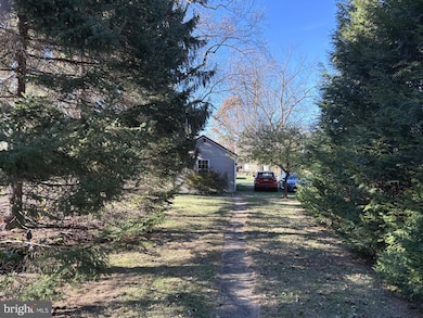 113 Race St, Boiling Springs, PA 17007 - photo 3