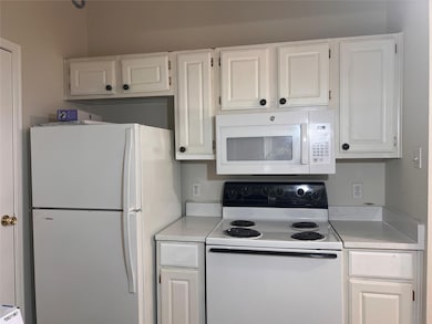 12166 Metric Blvd unit 3007, Austin, TX 78758 - photo 7