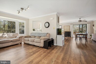 9001 Golden Sunset Ln, Springfield, VA 22153 - photo 7