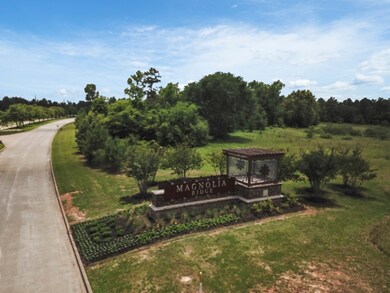 537 High Holly Cir, Magnolia, TX 77354 - photo 4