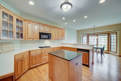 211 Robinson Way, Batavia, IL 60510 - photo 6