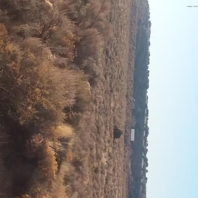 view of property looking N
