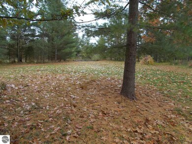 2524 Plainfield Rd, Hale, MI 48739 - photo 7