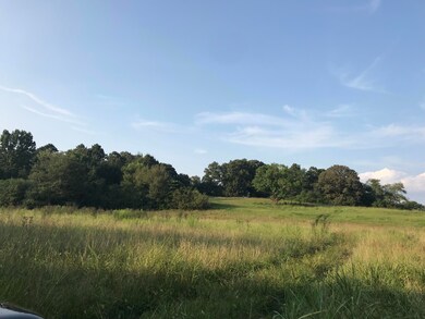 0 W Gordon Pond Rd unit 1286444, Lafayette, GA 30728 - photo 3