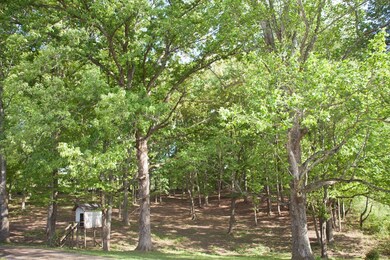 150 Jeremiah Rd, Cookeville, TN 38506 - photo 6