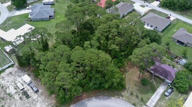 Aerial 1