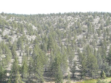 2270 Snowgoose Dr, Redmond, OR 97756 - photo 3